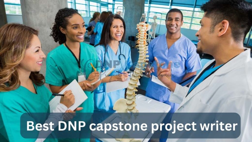 Best DNP capstone project writer