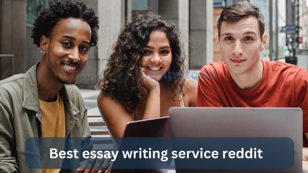 Best essay writing service reddit